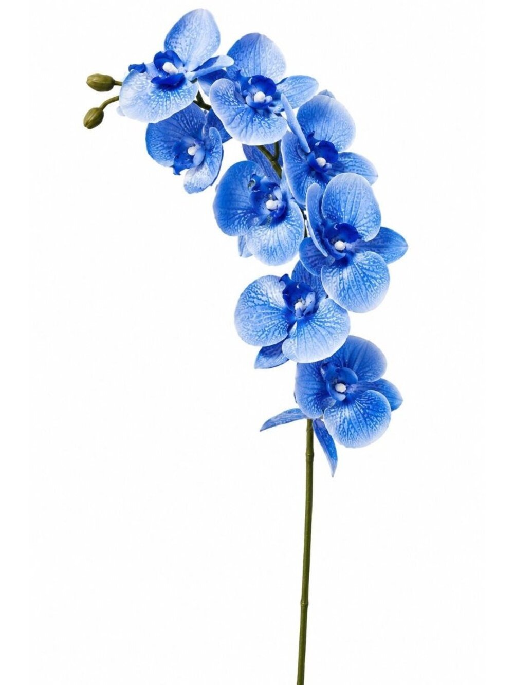 Blue Orchid Stem Artificial Silk 25 Inch